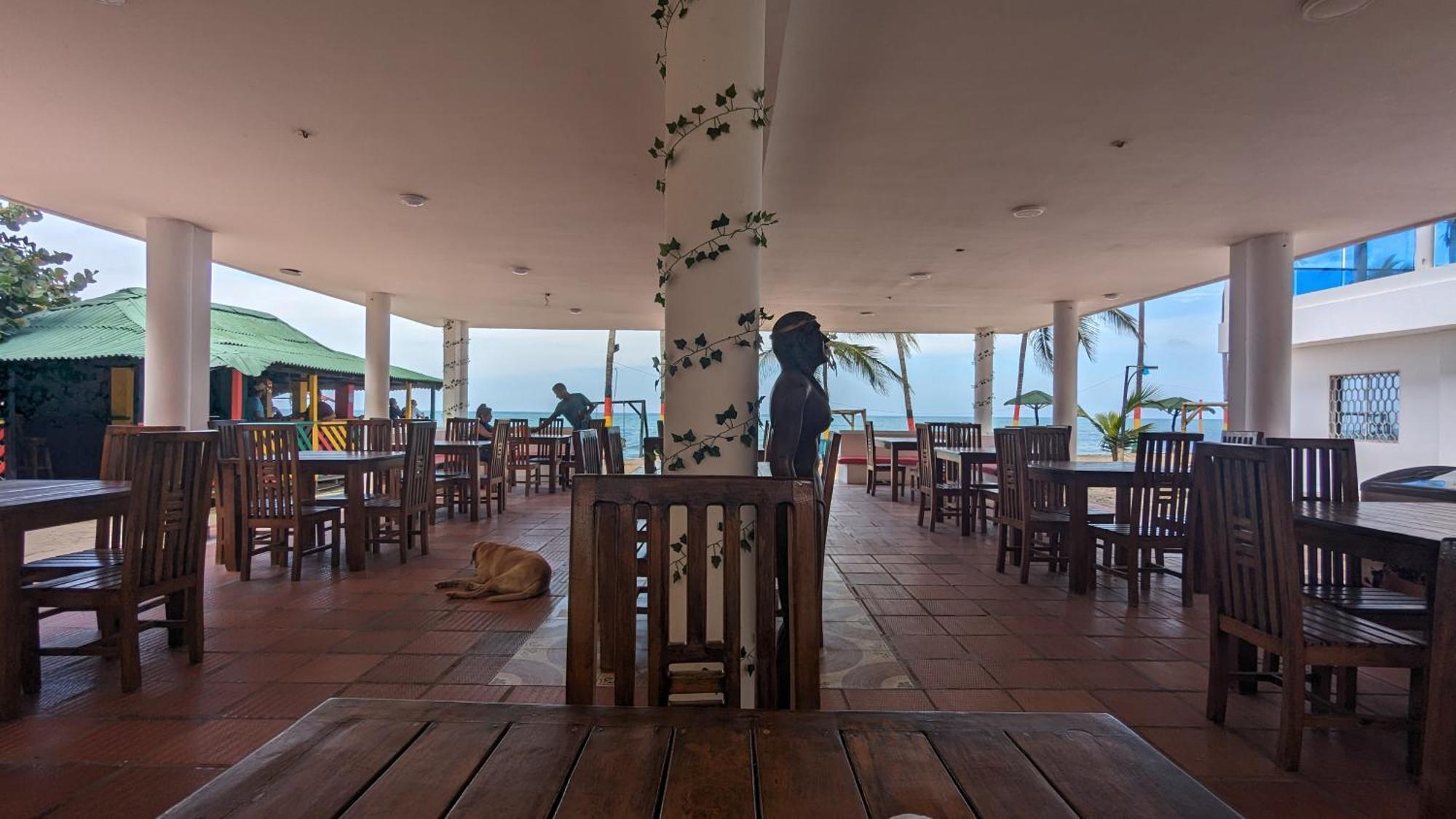 Beach Life Palomino - Beach Party Hostel & Beach Club Exterior foto
